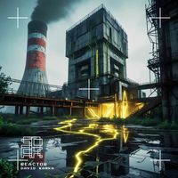 David Kawka - Reactor