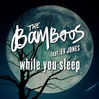 The Bamboos - While You Sleep