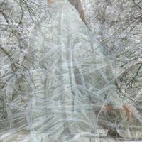 JARR - An Echo In Her Skin