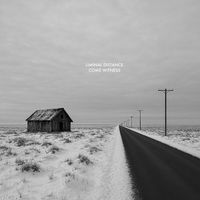 Liminal Distance - Come Witness