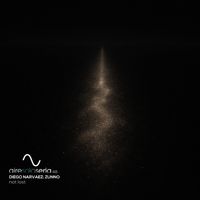 Diego Narvaez & Zunno - Not Lost