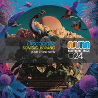 Disco Ball'z - Sonidio Verano