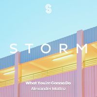 Alexander Mattnz - What You're Gonna Do