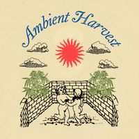 Arthur King - Ambient Harvest Vol. 2