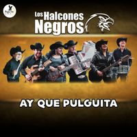 Los Halcones Negros - Ay que pulguita