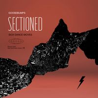 GOOSEBUMPS - Sectioned