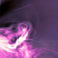 Mr. Projectile - Fire Pink