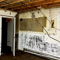 Crack Cloud - Safe Room