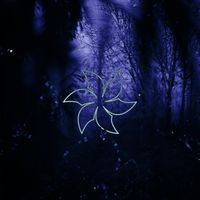 DATURA - Under the Stars