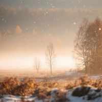 Niv - Between Seasons