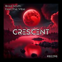 Brad Smith - Feel The Vibe
