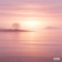 Felix Ardenne - Soft Glances