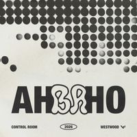 Control Room - AH BA HO