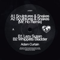 Adam Curtain - Sculptures & Snakes