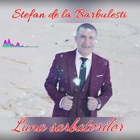Stefan de la Barbulesti - Luna sarbatorilor