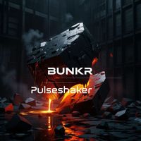 Pulseshaker, Ingo Herrmann - Bunkr