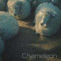 Chameleon - Daydream