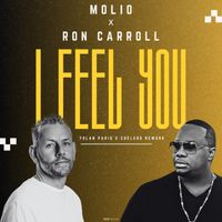 Molio, Ron Carroll - I Feel You (Rework)