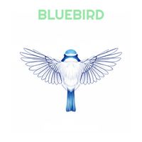 Moodorama - Bluebird