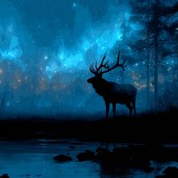 The Tavern - The Elk