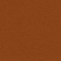 NeS - Le bruit et le silence