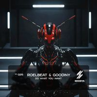 RoelBeat, Goodiny - Do What you Want