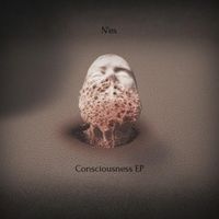 N'es - Consciousness