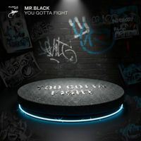 MR.BLACK - You Gotta Fight