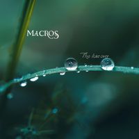 Macros - The Lake Over