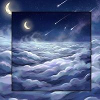 Rocco - Pilule Nocturne