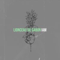 IAM - Lionceau du Gabon