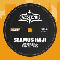 Taana Gardner - Work That Body (Seamus Haji Rework)