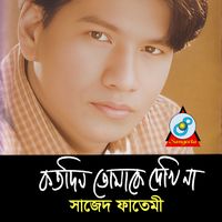 Sajed Fatemi - Kotodin Tomake Dekhi Na
