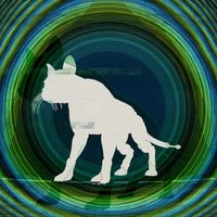 Octavcat - Ailurophobia
