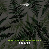 Roni Iron - Anasa