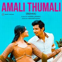 Chinmayi - Amali Thumali (Remix)