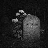 graur - absence has a name