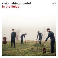 vision string quartet - in the fields