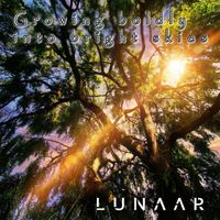 LUNAAR - Growing Boldly into Bright Skies