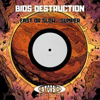 Bios Destruction - Fast or Slow / Sumper