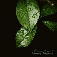 Dreamsound - Breathing Rainforest