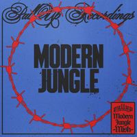 Mish - Modern Jungle