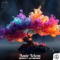 Amir Telem - Groovy as Before
