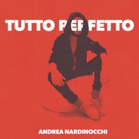 Andrea Nardinocchi - Tutto Perfetto