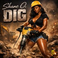 Shane O - DIG