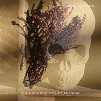 Sone Institute - On the Edge of not Missing