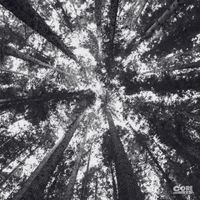 Liora Valé - You Returned