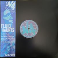 Fluid Haunts - Fluid Haunts E.P
