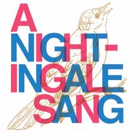 Chris Metcalfe - A Nightingale Sang