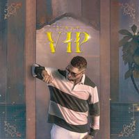 LINKY - VIP
